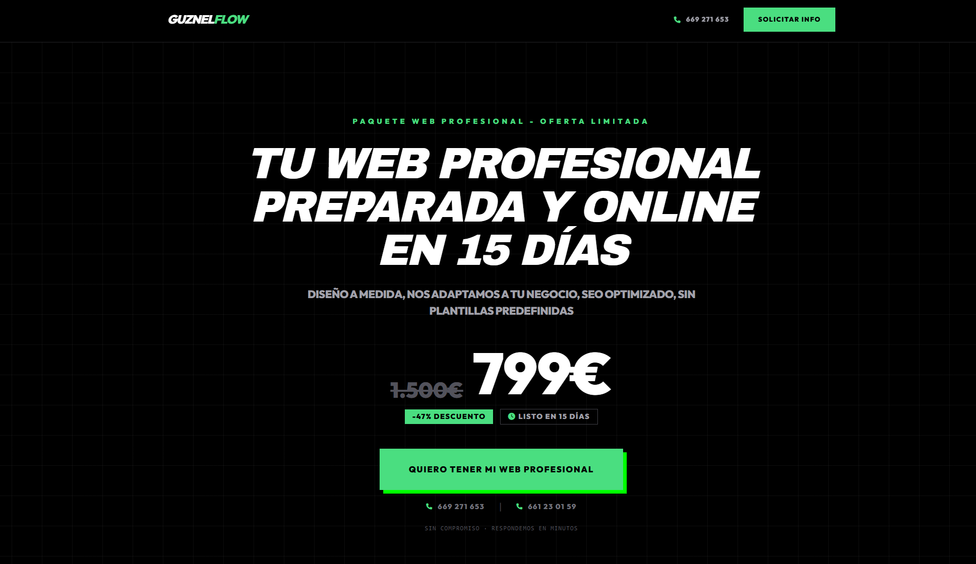Tu web profesional en 15 días por 799€ — Oferta limitada
